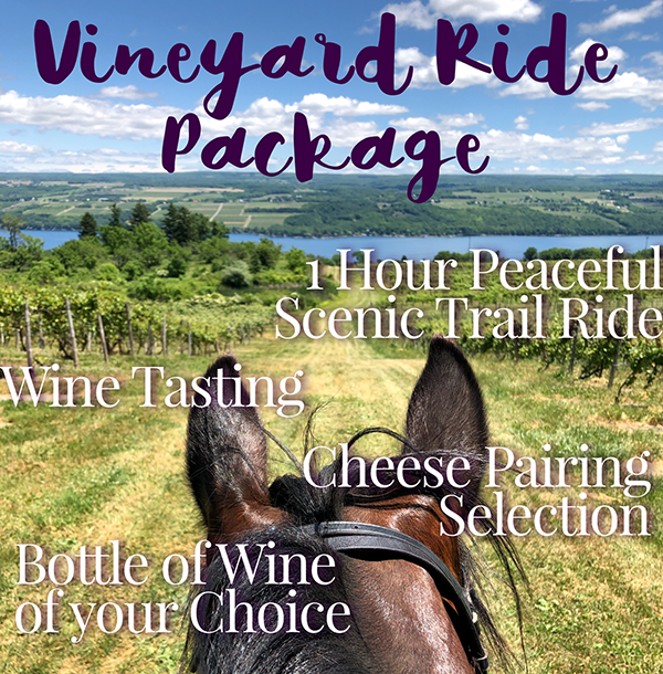 Finger Lakes Vineyard Trail Rides
